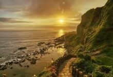 安卓手机ss科学上网-安卓Android手机加速器推荐