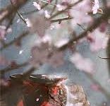 手机火狐科学上网扩展-安卓Android手机加速器推荐