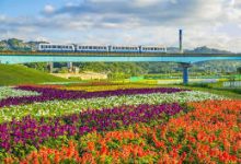 安卓手机科学上网蓝灯-安卓Android手机加速器推荐