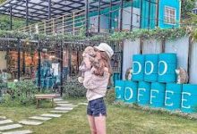 手机hosts科学上网-安卓Android手机加速器推荐