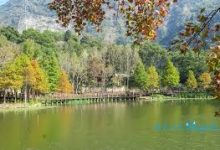 wp手机如何科学上网-安卓Android手机加速器推荐