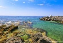 手机红杏科学上网-安卓Android手机加速器推荐