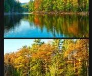 华为m9手机如何科学上网-安卓Android手机加速器推荐