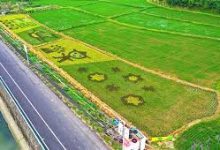 手机 科学上网 免费-安卓Android手机加速器推荐