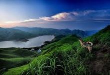 手机流量科学上网-安卓Android手机加速器推荐