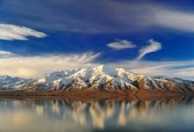 电脑科学上网手机-安卓Android手机加速器推荐