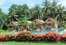 手机现在如何科学上网-安卓Android手机加速器推荐