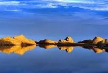 免费的手机科学上网-安卓Android手机加速器推荐