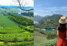 怎样用手机科学上网-安卓Android手机加速器推荐