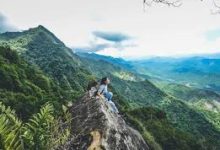 手机科学科学上网-安卓Android手机加速器推荐