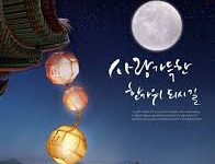 oppo手机怎么科学上网-安卓Android手机加速器推荐