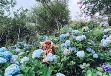 手机咋么设置才能科学上网-安卓Android手机加速器推荐