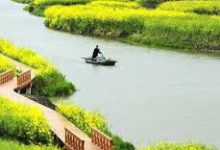 ios手机怎么科学上网-安卓Android手机加速器推荐