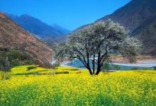 自己一个人用手机科学上网也是-安卓Android手机加速器推荐