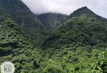 锤子手机怎么科学上网-安卓Android手机加速器推荐