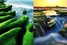 手机 共享电脑科学上网-安卓Android手机加速器推荐