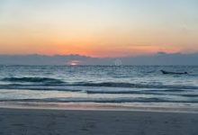 手机日服科学上网-安卓Android手机加速器推荐