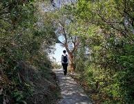 手机 科学上网 robot-安卓Android手机加速器推荐