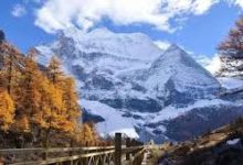 一加手机科学上网功能在哪-安卓Android手机加速器推荐