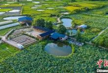 手机 ss科学上网-安卓Android手机加速器推荐