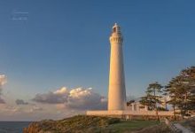 手机酸酸乳科学上网-安卓Android手机加速器推荐