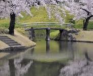 手机科学上网后如何共享给其他设备-安卓Android手机加速器推荐