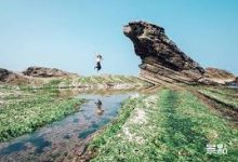 手机免费科学上网神器-安卓Android手机加速器推荐