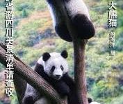 安卓手机科学上网教学-安卓Android手机加速器推荐