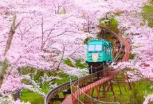 手机科学上网后做热点-安卓Android手机加速器推荐