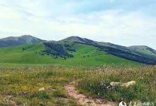 手机科学上网工具推荐-安卓Android手机加速器推荐