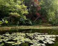 2018安卓手机怎么科学上网-安卓Android手机加速器推荐