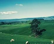 snap vpn安卓破解版-安卓Android手机加速器推荐