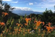 小飞机vpn安卓-安卓Android手机加速器推荐