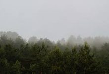 洋葱vpn安卓下载-安卓Android手机加速器推荐