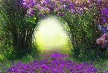 vpn安卓下载免费版-安卓Android手机加速器推荐