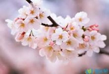 vpn安卓版下载百度云-安卓Android手机加速器推荐