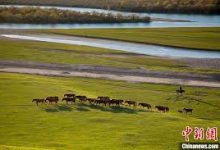 最新版安卓手机使用ChatGPT教程-安卓Android手机加速器推荐