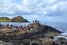 opera手机+科学上网-安卓Android手机加速器推荐