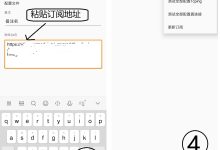 安卓 Android 手机 使用 V2Ray 设置教程-安卓Android手机加速器推荐