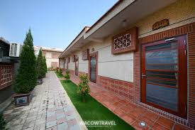 手机科学上网绿叶-安卓Android手机加速器推荐