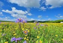 手机v2ray客户端-安卓Android手机加速器推荐