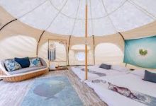 v2ray手机可以用电脑不能用-安卓Android手机加速器推荐