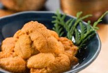 手机v2ray连不上-安卓Android手机加速器推荐