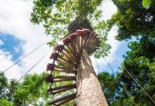 手机端v2ray配置-安卓Android手机加速器推荐