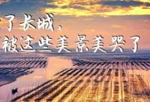 手机v2ray软件-安卓Android手机加速器推荐