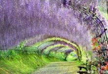 手机版v2ray-安卓Android手机加速器推荐