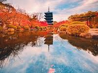 v2ray 安卓手机连不上-安卓Android手机加速器推荐