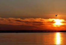 v2ray手机端比电脑端慢-安卓Android手机加速器推荐