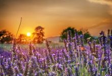 手机v2ray为何突然不能用-安卓Android手机加速器推荐