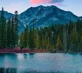 安卓vpn-安卓Android手机加速器推荐